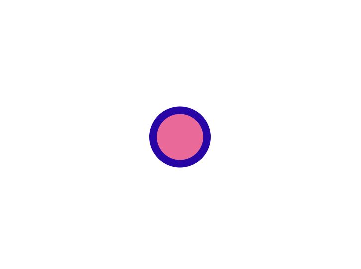 Flower animation